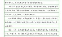 [PK赛]关于冬天的作文：冬念_150字