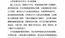 [PK赛]关于冬天的作文：冬日“叙”语_450字