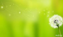 [梦想征文]追逐梦想_1000字