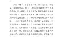 [PK赛]关于冬天的作文：2011年的第一场雪_600字