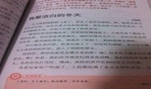 [PK赛]关于冬天的作文：冬天_900字