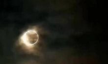 最是爱无言_1200字