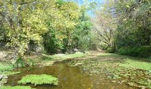 [Hug in spring]Hug in spring_2000字