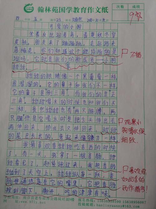 我的家人的新成员_600字