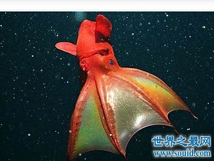 一个令人兴奋的事情_800字