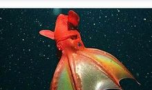 一件惊心动魄的事_800字