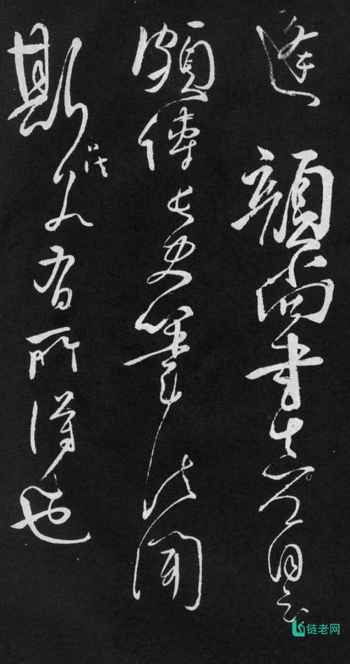 明亮的竹笋和茗异佳，是直径_800字