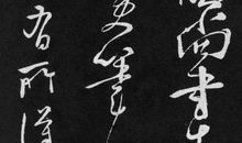 苦笋及茗异常佳，乃可径来_800字