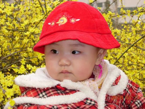 [我的成长]叶子在阳光下_1200字