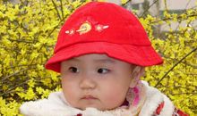 [我的成长]叶上阳光_1200字