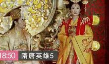 探寻隋唐英雄 历史真容