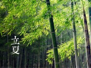 关于Lixia的组成：Lixia蛋_650字