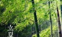 关于立夏的作文：立夏顶蛋_650字