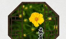 关于立夏的作文：生命的萌动_650字