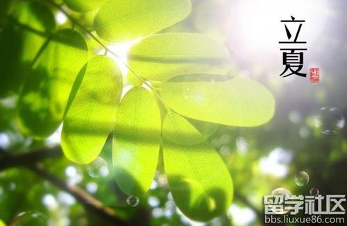 Lixia上的组成：我们的丽霞_600字