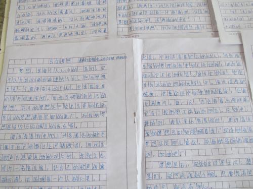 [梦想散文]我的梦想_1000字