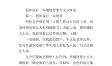 假如我有一双翅膀_350字