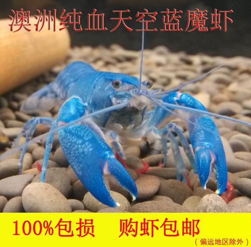 体验Ghost _750字
