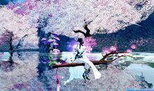 桃夭（三）_1000字