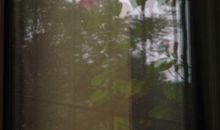 教室窗外的世界_900字