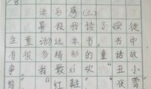 [PK赛]关于读后感的作文：《安徒生童话》读后感_650字