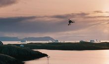 白日，梦想_1500字