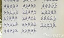 我不需要同情的目光_550字