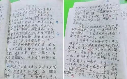 与同情的组成：同情_800字