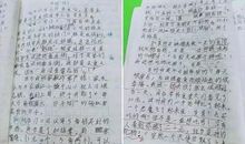 关于同情的作文：同情_800字