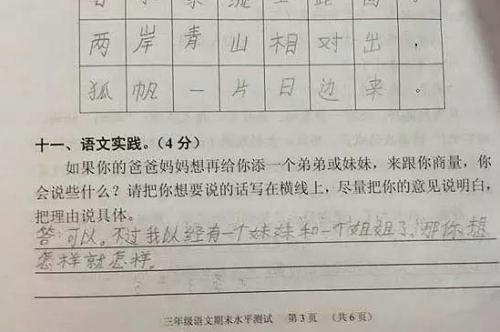 代码，感情_400字