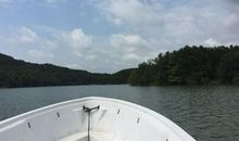 [梦想征文]盼望_1200字