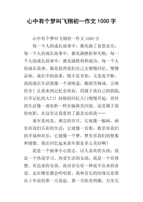 [PK Tour]梦想中的构成：让梦想飞行_900字