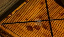 耀眼的四方红_350字