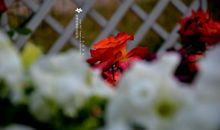 雨的思念外公_700字