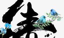 留下同情在心中_650字