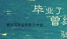 不该丢失的同情心_700字