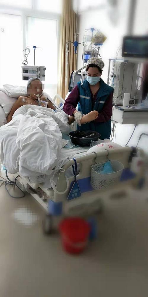 与同情的组成：爱情留下，同情右_900字
