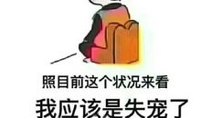 拒绝长大_350字