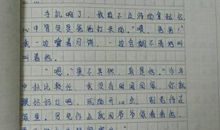 随笔_350字