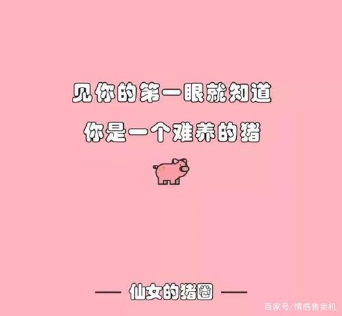 setsetting，生活给我最好的礼物_800字