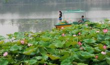 游清颍公园_400字