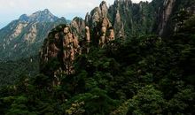 美丽的黄山_300字