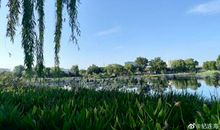 [春节随笔] 春节特色——年例_1000字