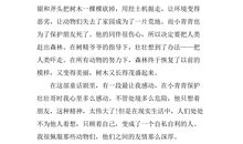 梦·现实·感悟_500字