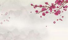 梅花的感悟_900字