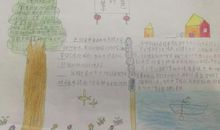 爱我家乡，建设美好南部_1200字