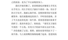 第一次自己过夜_450字