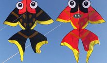 关于风筝_1200字