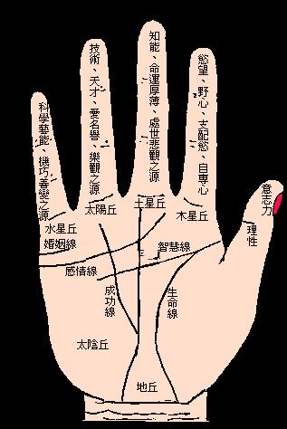 掌上_350字
