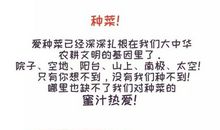 节约是个好习惯_350字